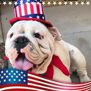 Meet your Posher, Tonya